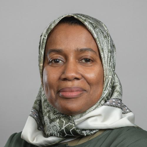 د. خديجة أحمد حافظ